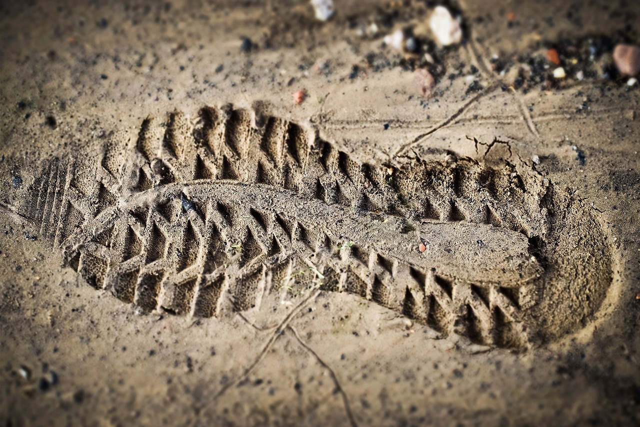 découvrez l'empreinte carbone, un indicateur clé de l'impact environnemental de nos activités. apprenez comment réduire votre empreinte et contribuer à un avenir durable.