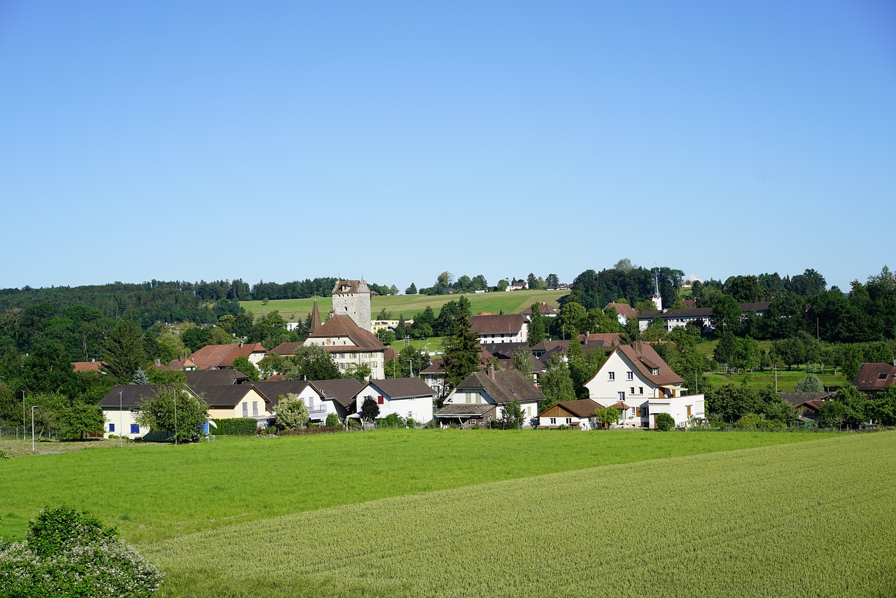 découvrez l'importance des communautés locales dans le renforcement des liens sociaux, la promotion de la culture et le développement durable. explorez comment l'engagement citoyen et les initiatives communautaires peuvent transformer votre quartier et améliorer la qualité de vie de tous.