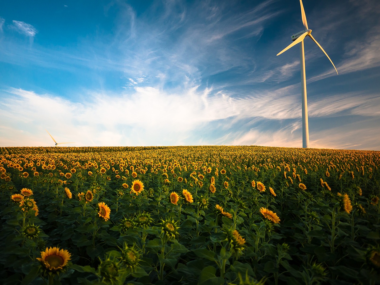 découvrez les avantages des énergies renouvelables, leur impact positif sur l'environnement et comment elles transforment notre manière de produire et de consommer de l'énergie. engagez-vous vers un avenir durable dès aujourd'hui !