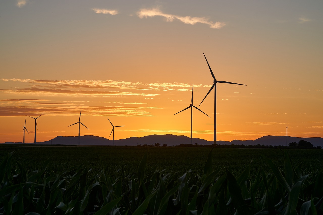 découvrez l'importance et les avantages des énergies renouvelables pour un avenir durable. explorez les différentes sources comme l'énergie solaire, éolienne et hydraulique, et comment elles contribuent à la préservation de notre planète.