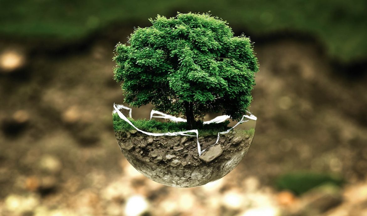 découvrez l'impact environnemental des activités humaines et apprenez comment réduire votre empreinte carbone pour préserver notre planète pour les générations futures.