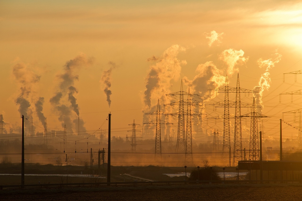découvrez l'impact environnemental des activités humaines sur notre planète. analysez les effets du changement climatique, de la pollution et de la déforestation, et explorez des solutions durables pour préserver notre écosystème.