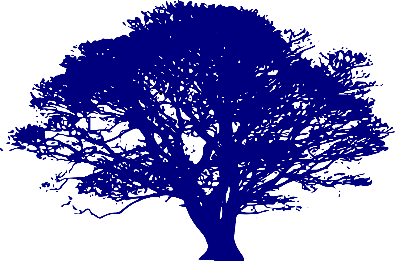 découvrez des stratégies innovantes pour optimiser vos ressources et améliorer l'efficacité de votre entreprise. apprenez à maximiser l'utilisation de chaque atout avec des méthodes éprouvées.