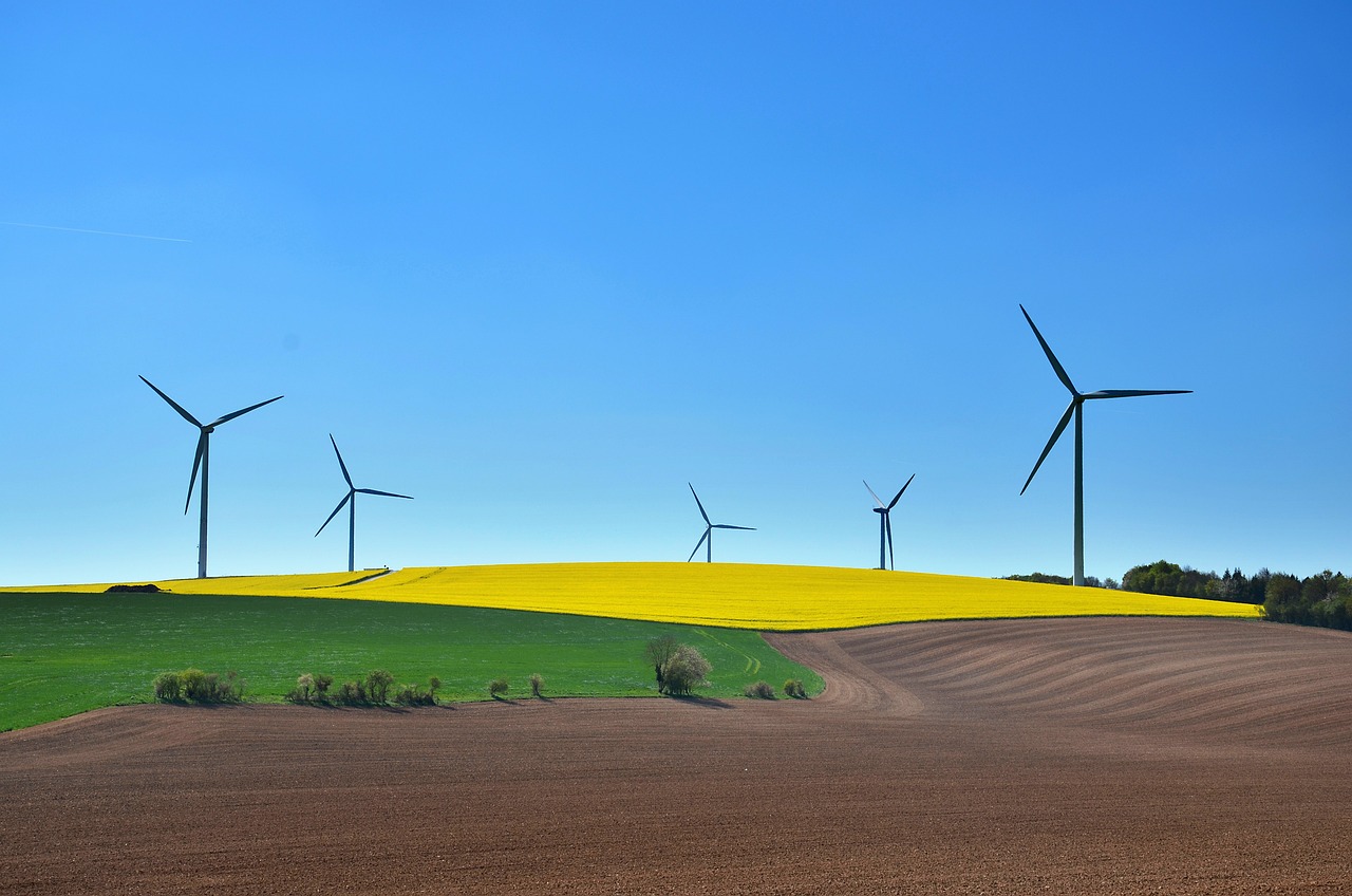 découvrez comment les écosystèmes durables contribuent à la préservation de notre planète. explorez des pratiques et des solutions pour maintenir l'équilibre naturel, favoriser la biodiversité et garantir un avenir durable pour les générations futures.